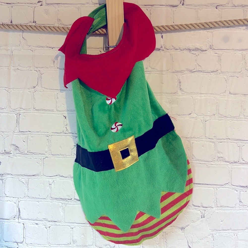 Elf Halloween costume for dogs. Like new condition. Size medium